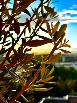 Paysage naturel près de l'appartement