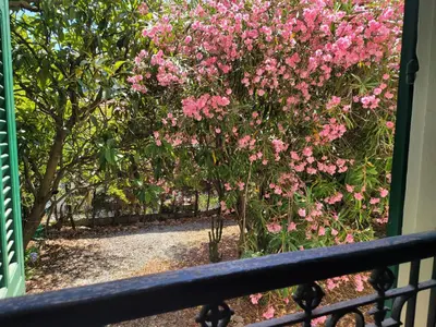 Jardin de l'établissement T3 VILLA WALLER PROCHE PLAGES et CENTRE-VILLE