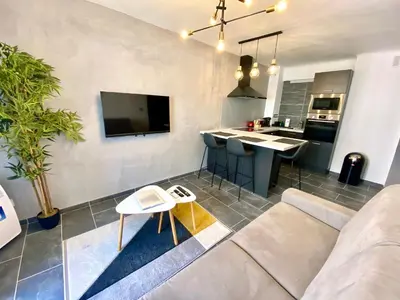 Cuisine ou kitchenette dans l'établissement Le Marignan SCLS - Wifi, Climatisation
