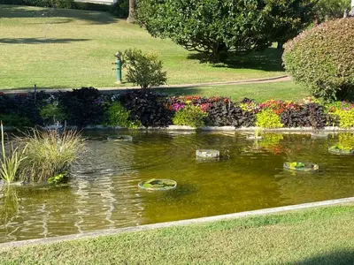 Jardin de l'établissement Le somptueux Le Gallia