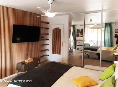 Télévision ou salle de divertissement dans l'établissement CANNES - JOLI STUDIO AVEC BALCON