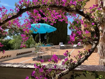 Jardin de l'établissement Rez-de-chaussée dans grand jardin provençal, à la villa Tatiana