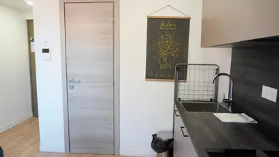 Cuisine ou kitchenette dans l'établissement Proche Carlton & Croisette, Appartement 301 - Palmazur Vacances