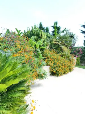 Jardin de l'établissement Luxueuse Villa Climatisée à Cannes