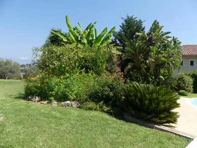 Jardin de l'établissement Luxueuse Villa Climatisée à Cannes