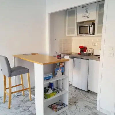 Cuisine ou kitchenette dans l'établissement Appartement proche croisette avec parking et climatisation