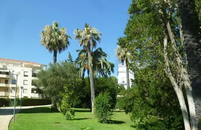 Jardin de l'établissement VILLAS DES LYS