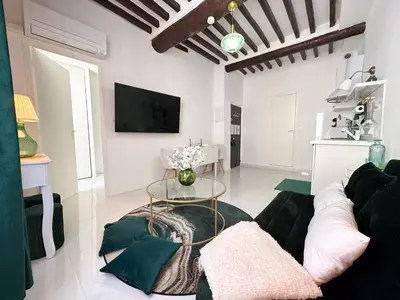 Télévision ou salle de divertissement dans l'établissement Le Cosy Safranier Vieil Antibes
