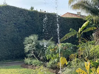 Jardin de l'établissement Cannes Studio situé dans la résidence Gallia Historique