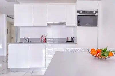 Cuisine ou kitchenette dans l'établissement Cannes le Versailles
