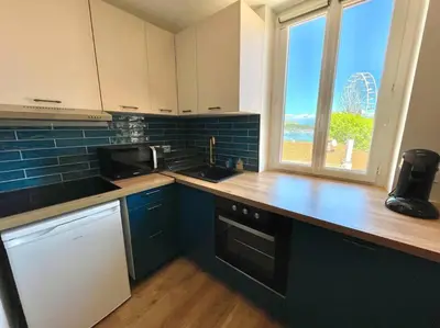 Cuisine ou kitchenette dans l'établissement IVS Andreossy Vue mer et montagne pour 4