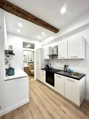 Cuisine ou kitchenette dans l'établissement Chez Thibault brand new one-bedroom apartment in Antibes