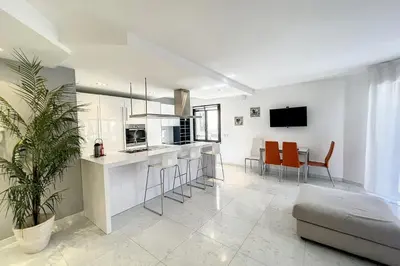 Cuisine ou kitchenette dans l'établissement Cannes Rue d'Antibes Premium 2 BDR 2 baths Exclusive Olam Properties