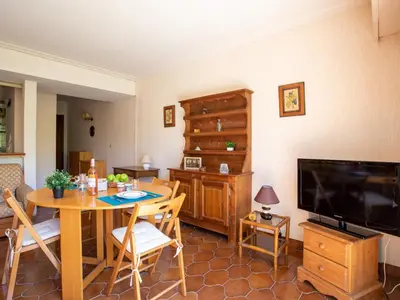 Télévision ou salle de divertissement dans l'établissement Studio Montfleuri by Interhome