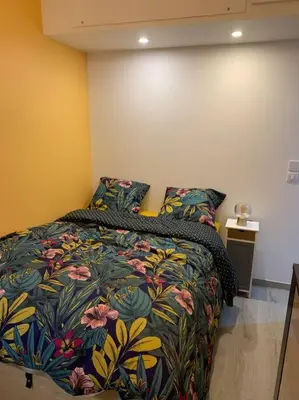 Un ou plusieurs lits dans un hébergement de l'établissement Appartement Etat neuf La Chantalane -proche centre-ville